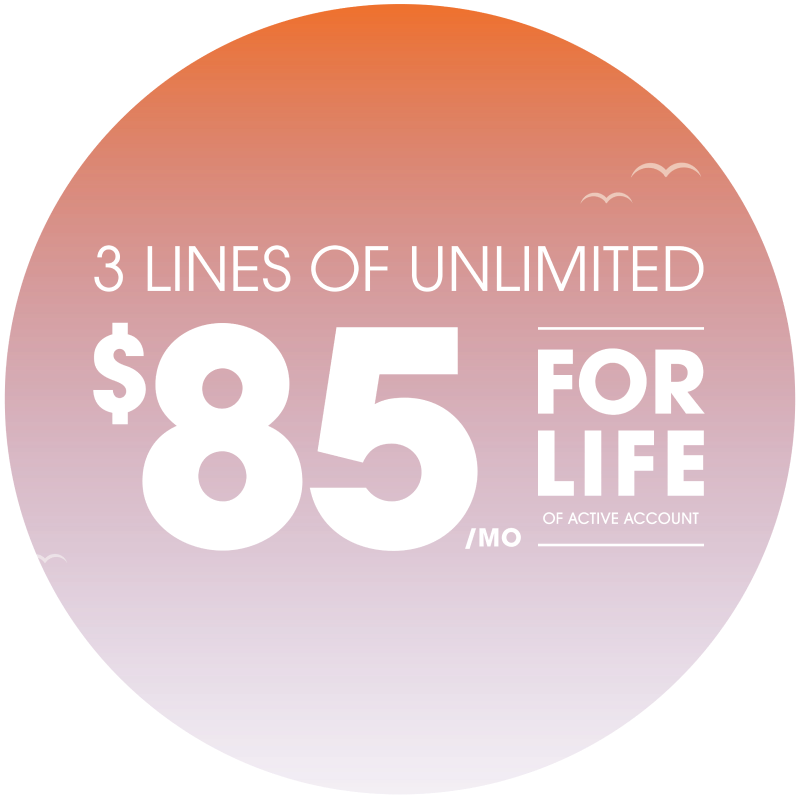 Family Cell Phone Plan Ultra Mobile