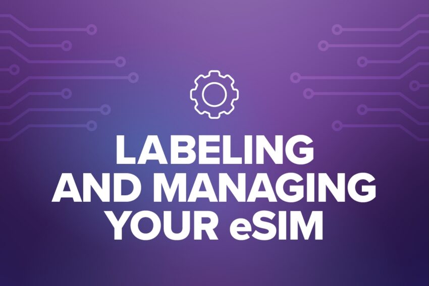 labeling and managing your esim with a gear icon on a purple background